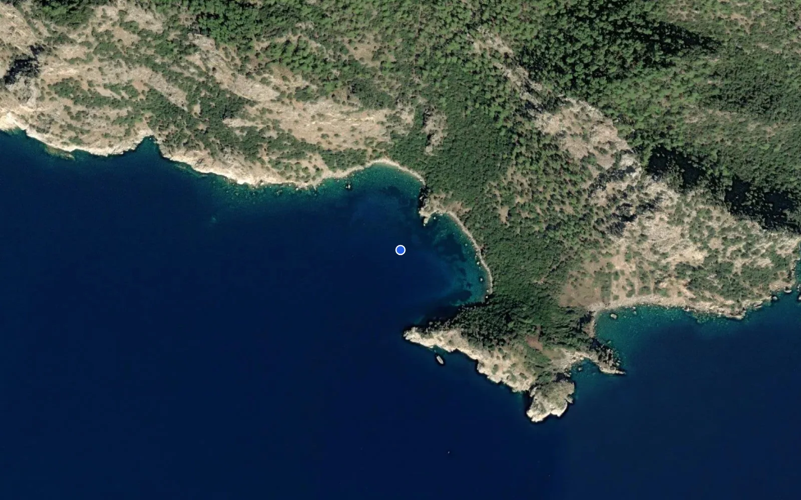 Akvaryum bay