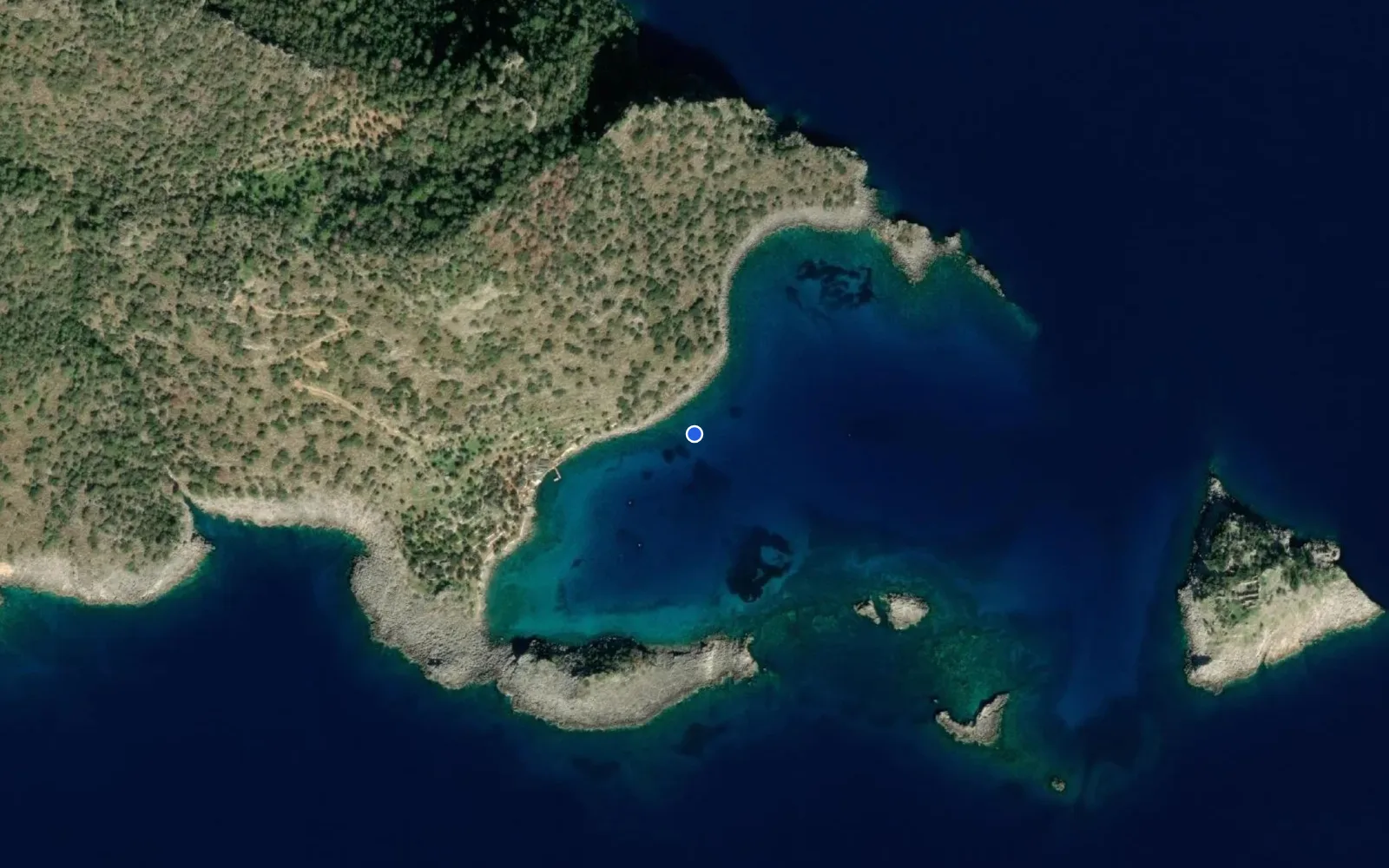 Akvaryum koyu