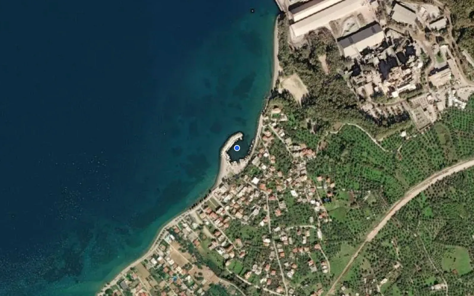 Arachovitika marina