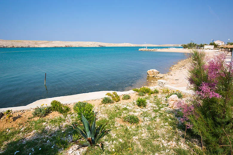 Dinjiška bay