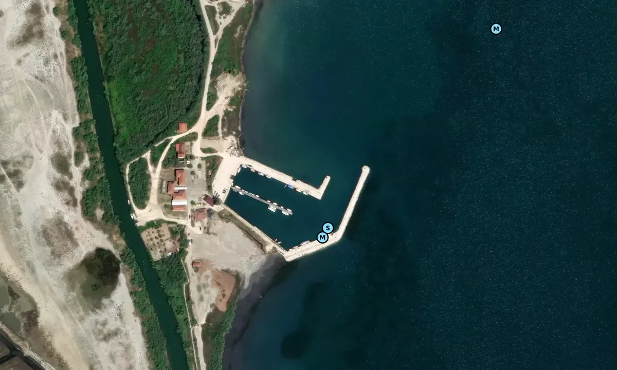 Kopraina marina