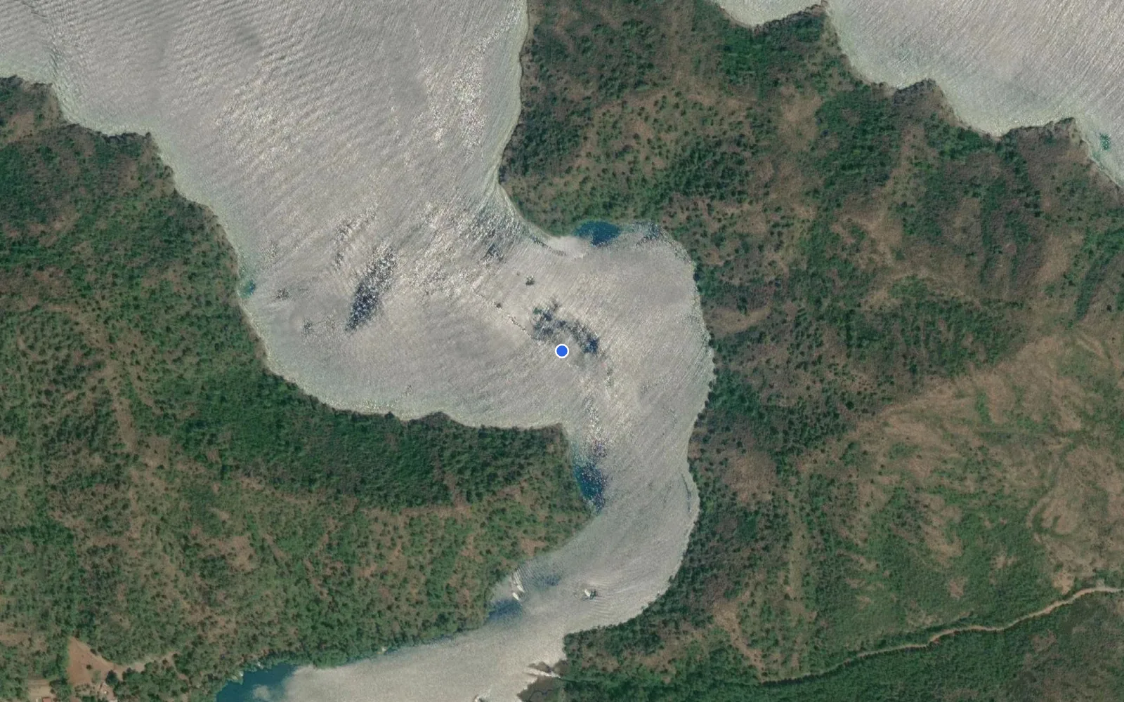 Longoz (Kargı)