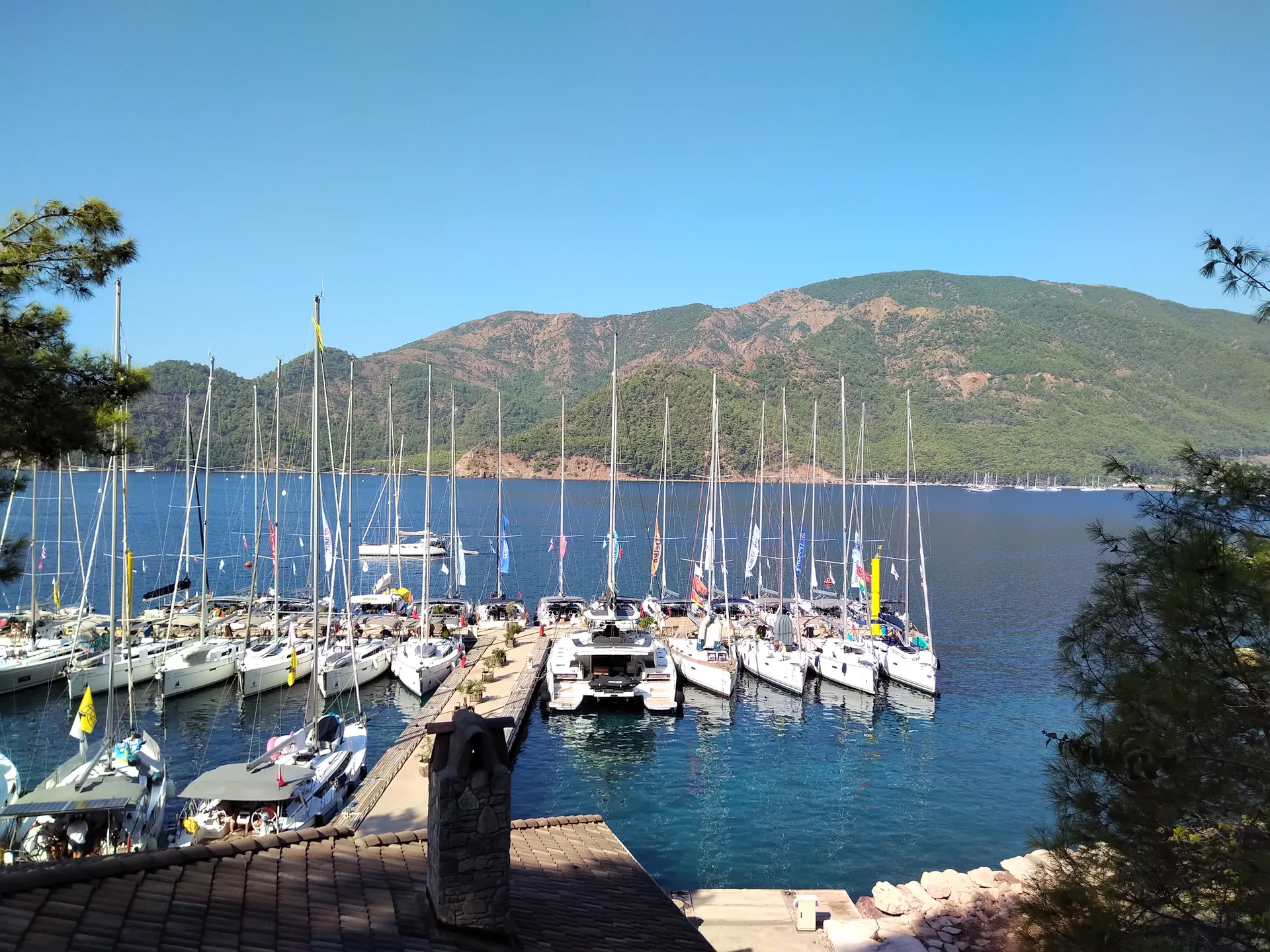 My Marina Yacht Club — photo 3 of 3
