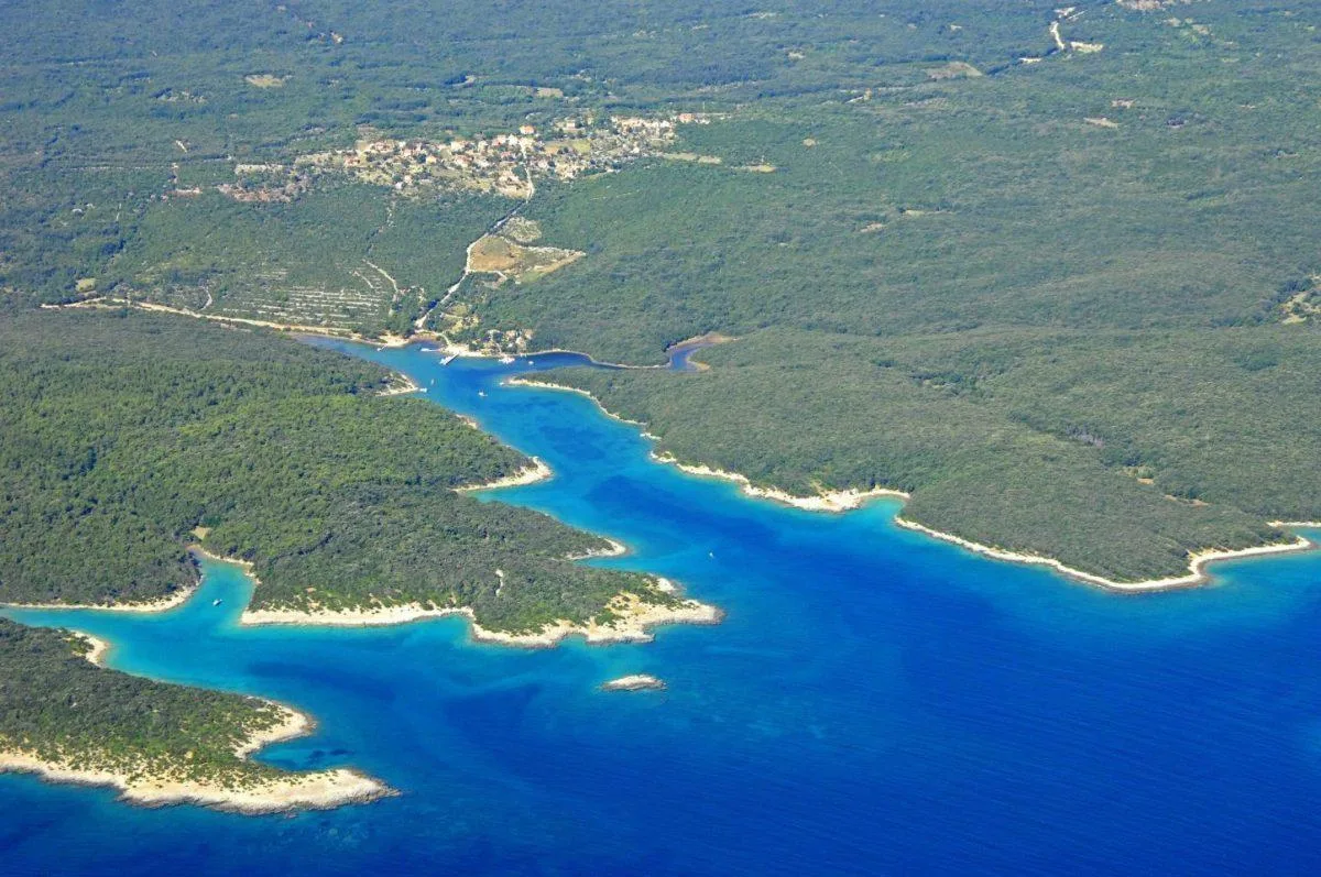 Pogona Marina