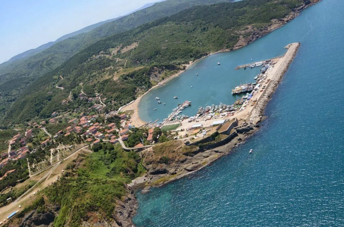 Poyraz Koyu