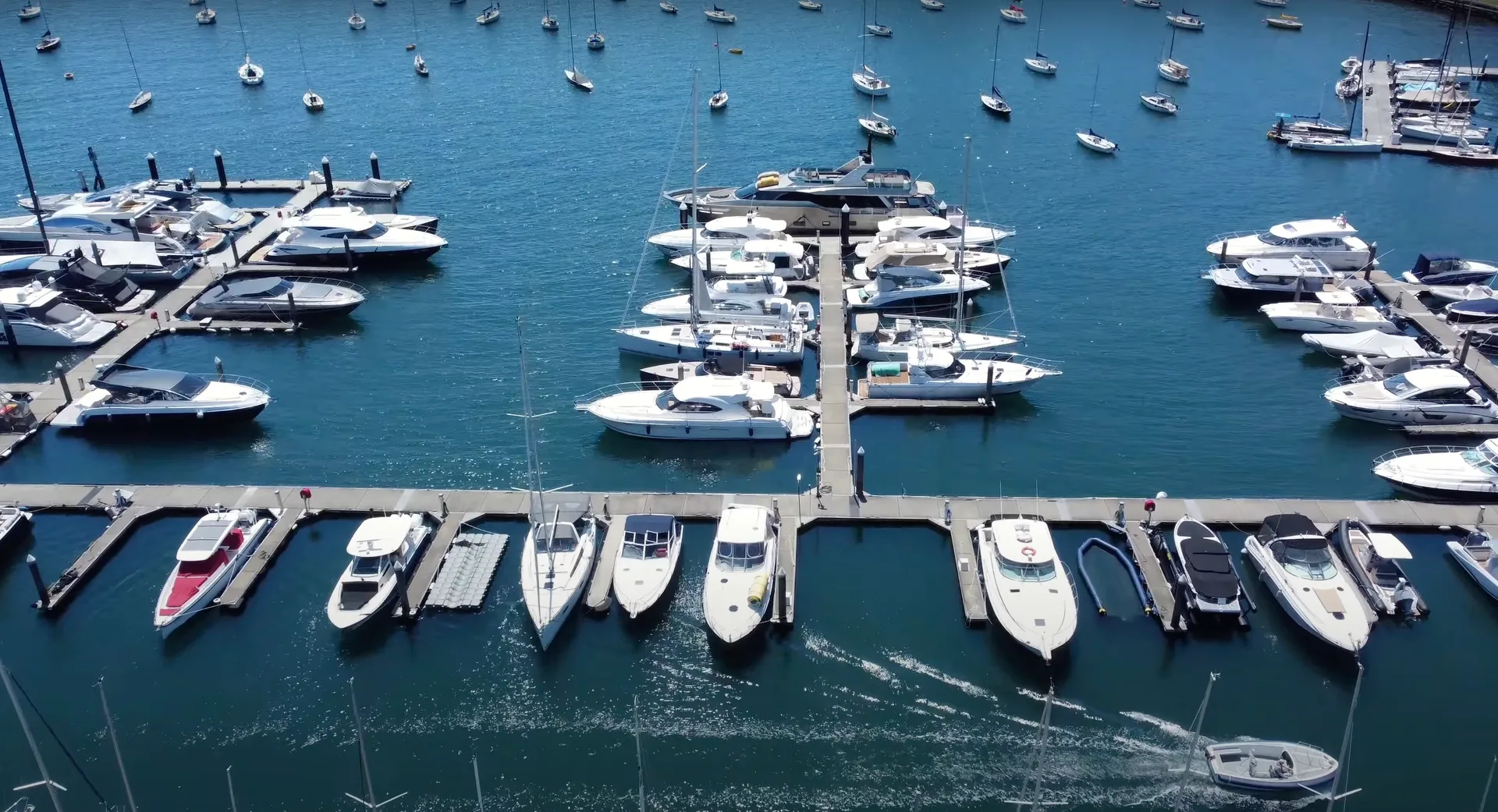 Rushcutters Bay Marina — photo 2 of 4