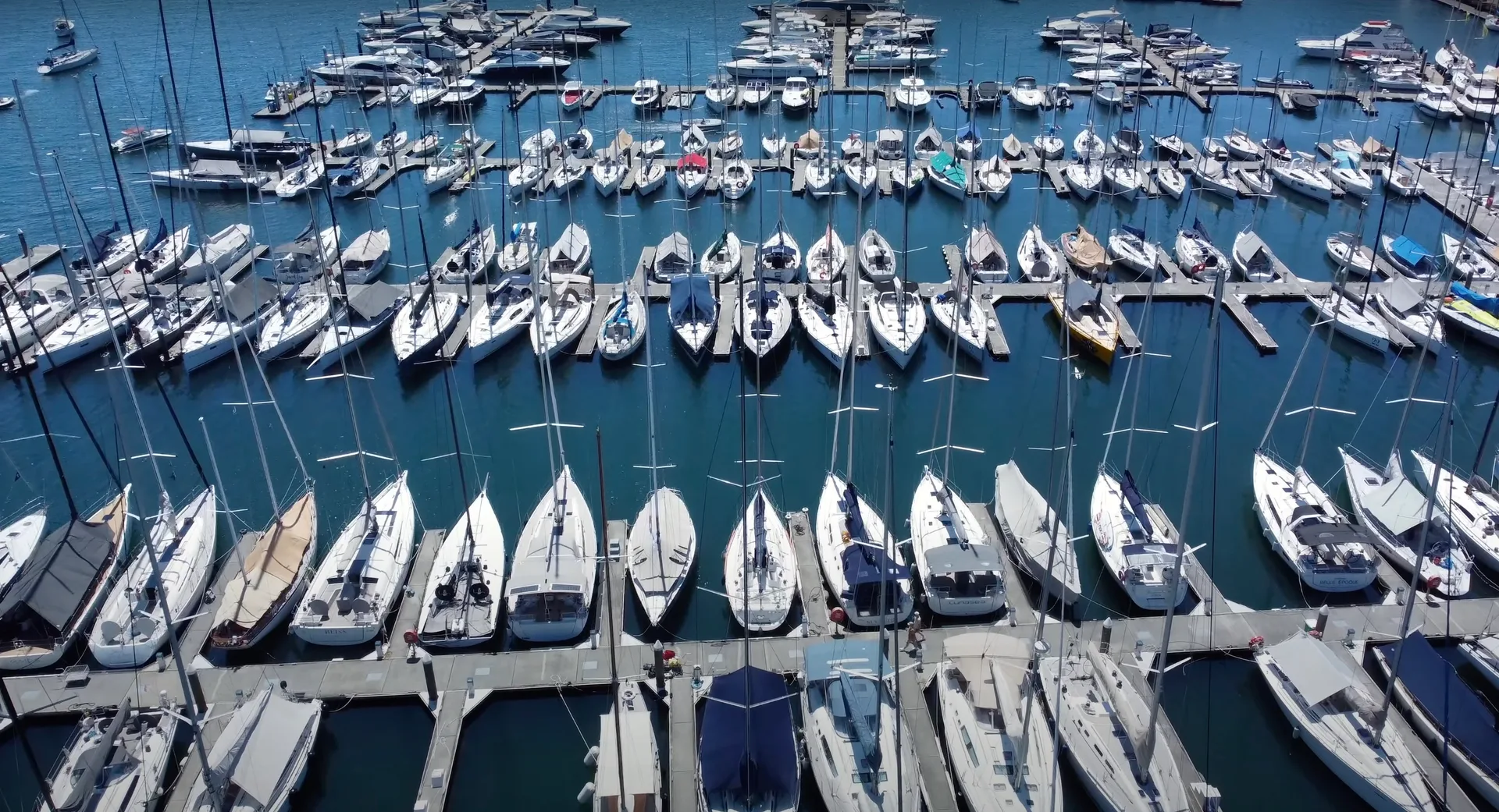 Rushcutters Bay Marina — photo 3 of 4