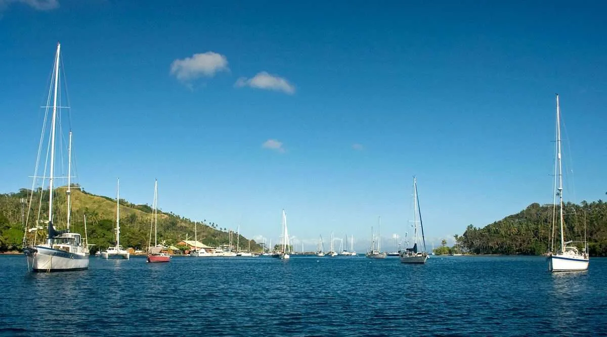 Savusavu Marina — photo 2 of 3