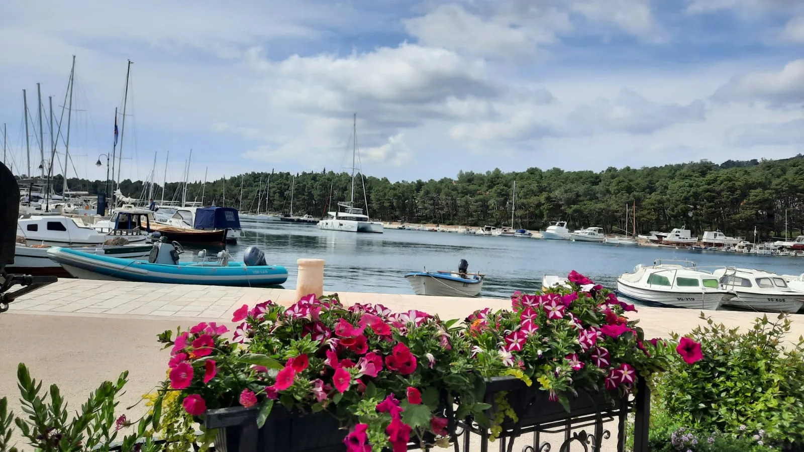 Stari Grad — photo 3 of 7