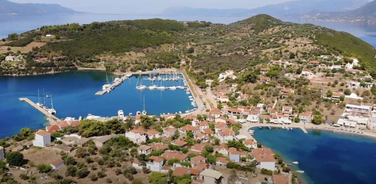 Trizonia Marina